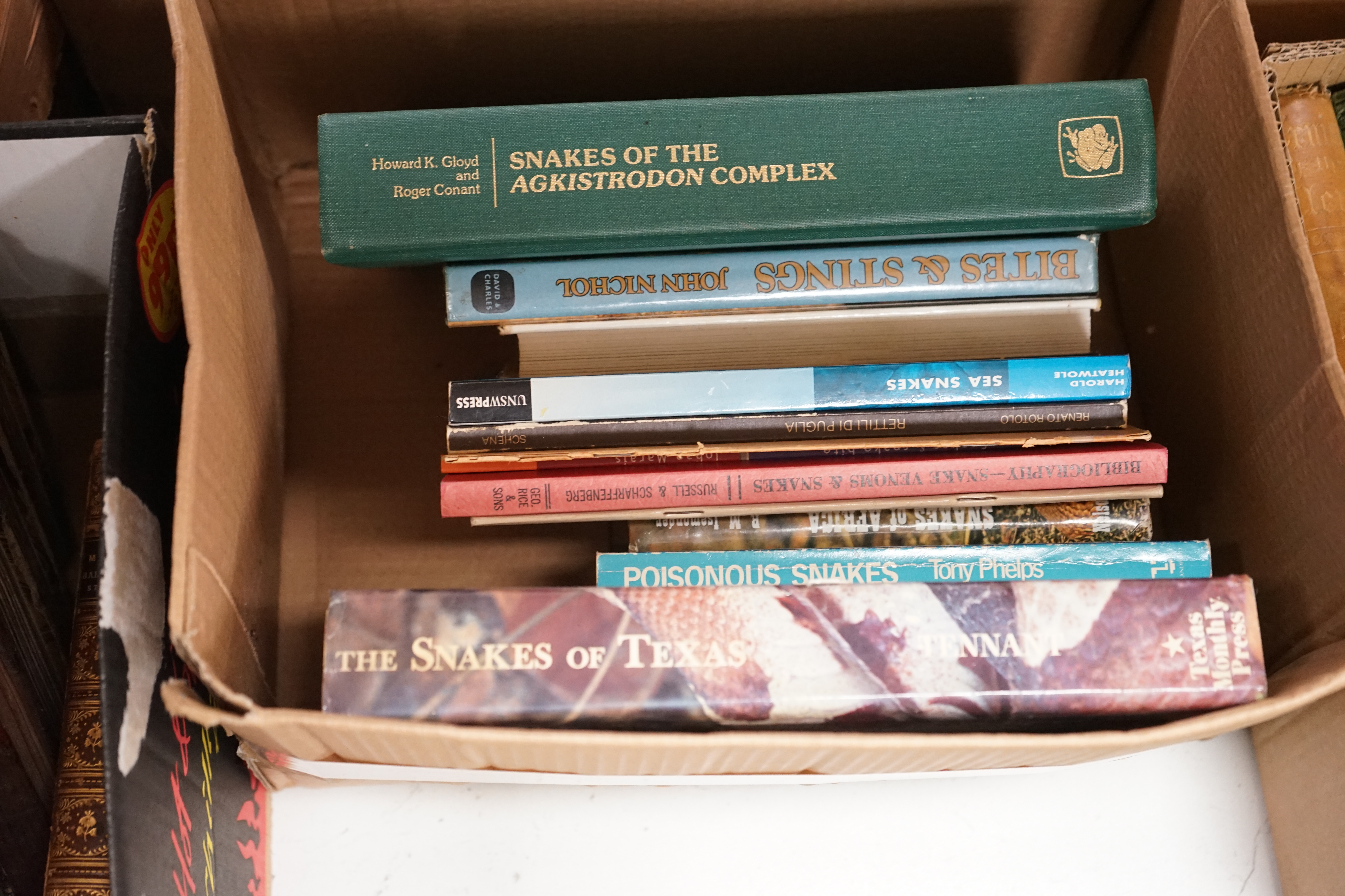 Klauber, Laurence M. - Rattlesnakes: their habits, life histories, and influence on mankind. 2nd (revised) edition, 2 vols. coloured frontispcs., photo. and other illus., 2 folded tables; publisher's cloth and slipcase,